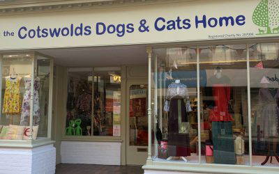 Cotswold Dogs and Cats Home
