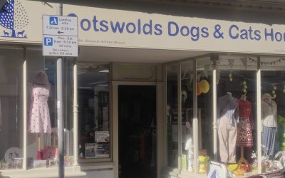 Cotswolds Dogs & Cats Home Stroud